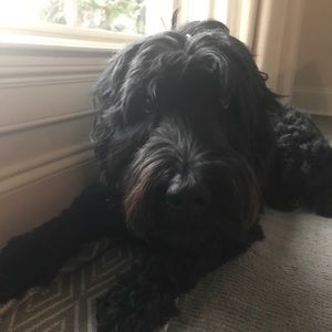 Meet your Posher, Ellen